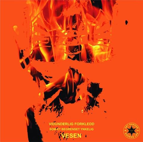 Vesen - Orange - Aluminium